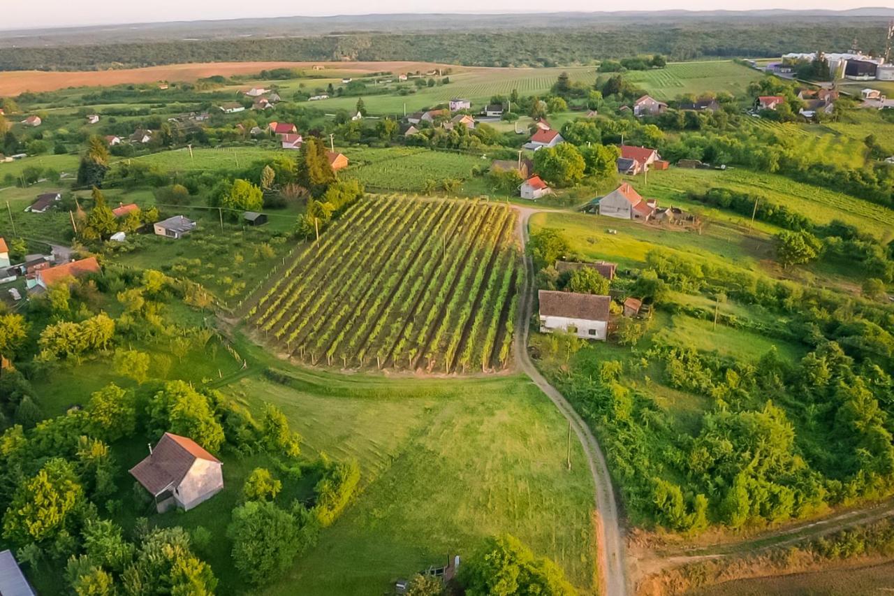 Village Wine House Mandicevac Eksteriør bilde