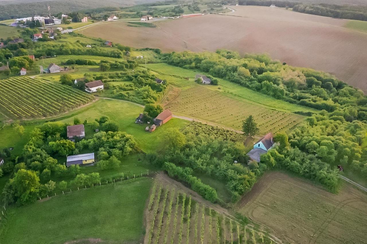 Village Wine House Mandicevac Eksteriør bilde