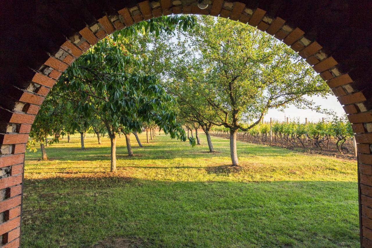 Village Wine House Mandicevac Eksteriør bilde