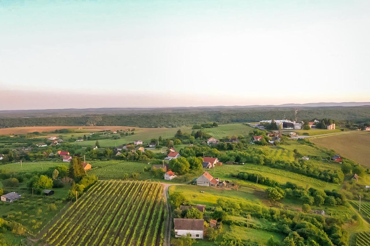 Village Wine House Mandicevac Eksteriør bilde