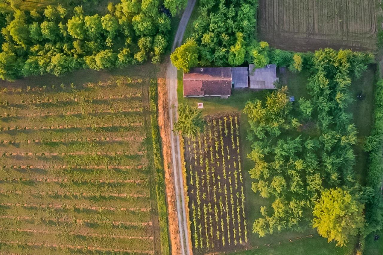 Village Wine House Mandicevac Eksteriør bilde