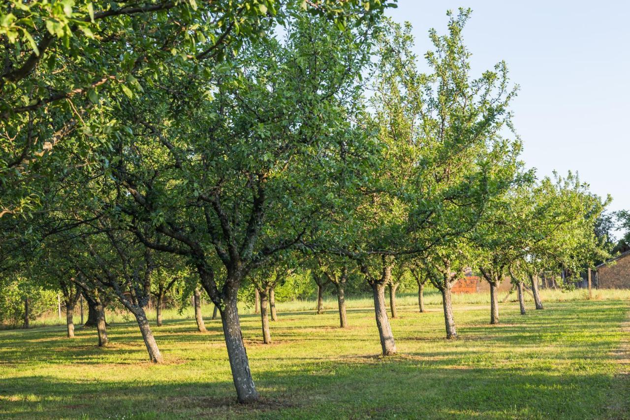 Village Wine House Mandicevac Eksteriør bilde