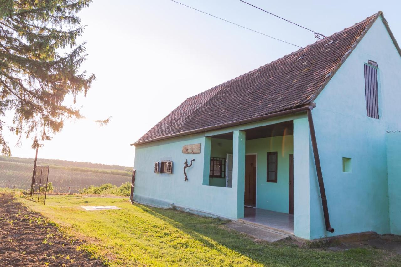 Village Wine House Mandicevac Eksteriør bilde