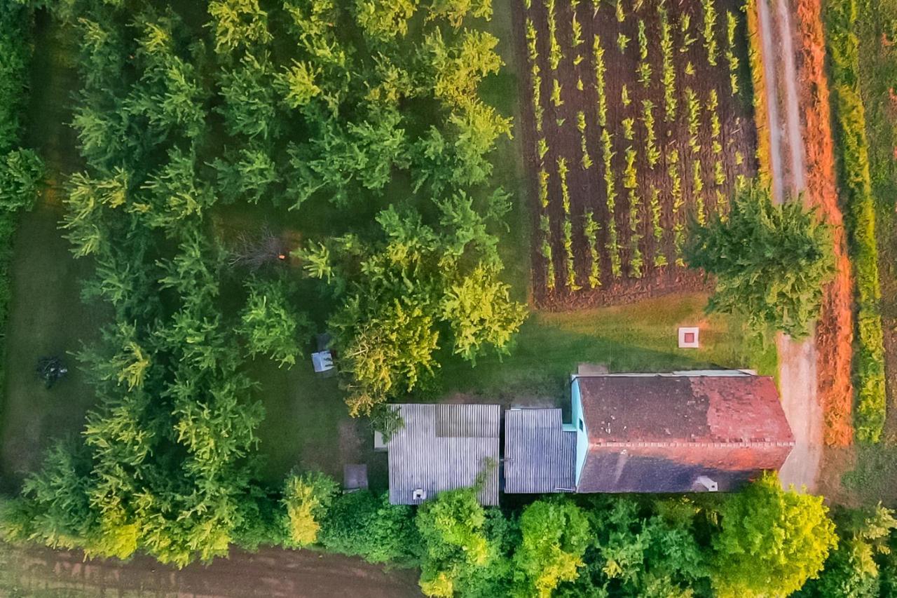 Village Wine House Mandicevac Eksteriør bilde