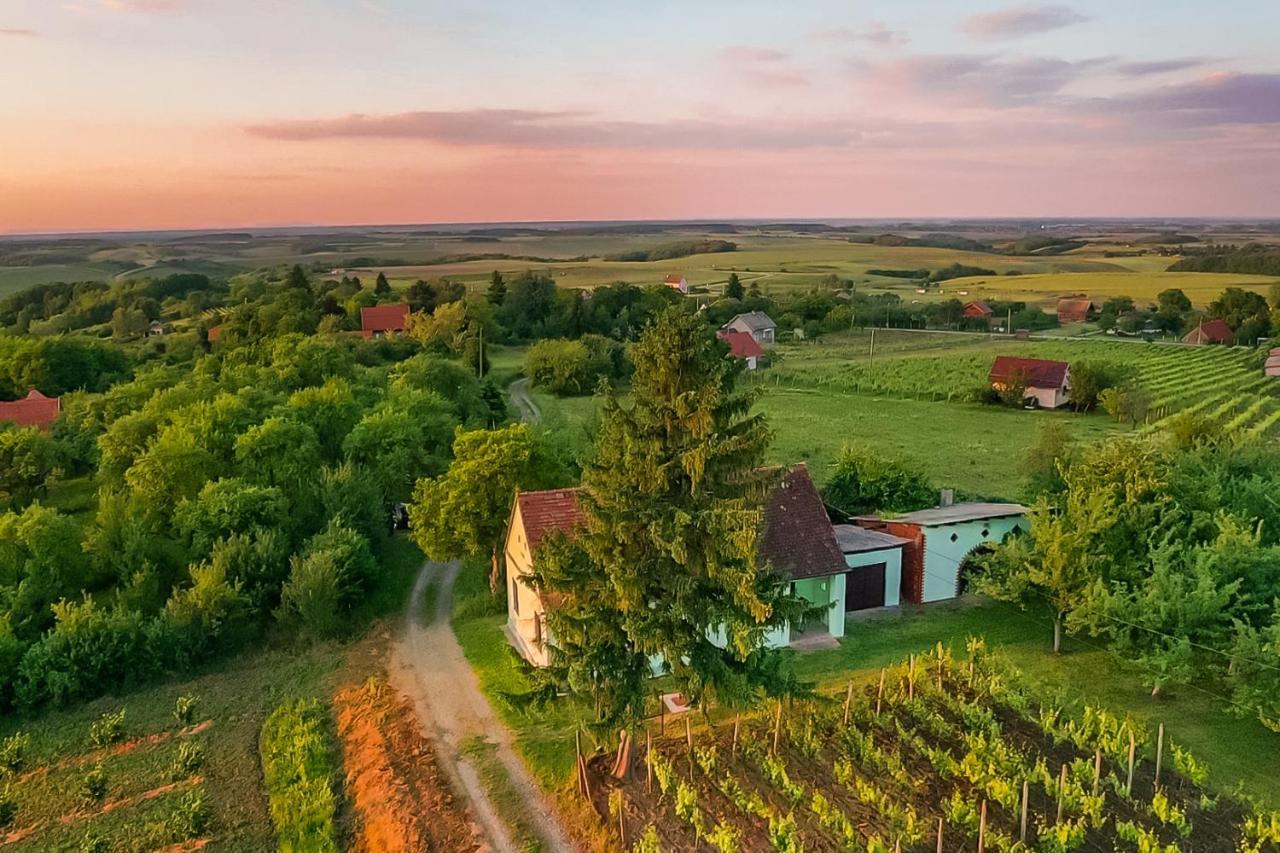 Village Wine House Mandicevac Eksteriør bilde