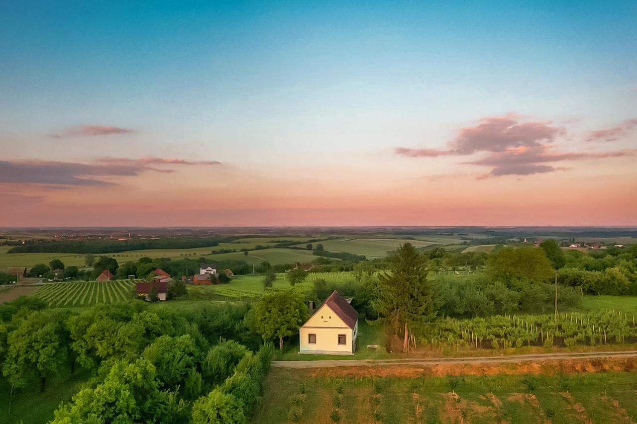 Village Wine House Mandicevac Eksteriør bilde