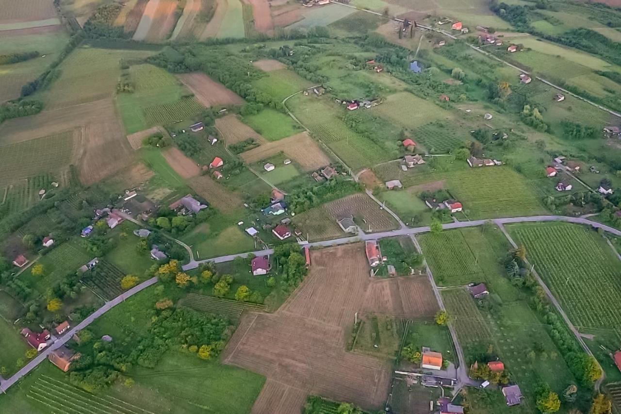 Village Wine House Mandicevac Eksteriør bilde