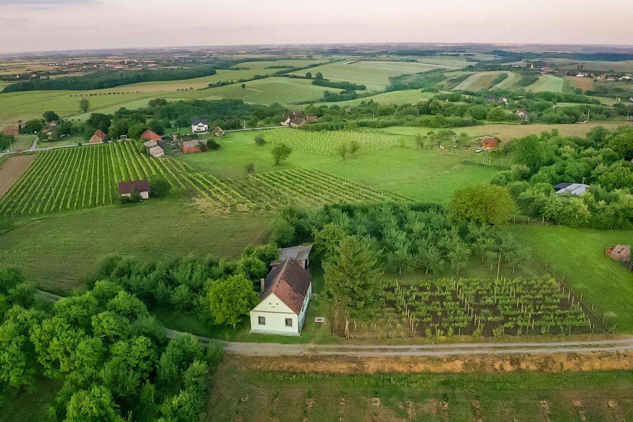 Village Wine House Mandicevac Eksteriør bilde