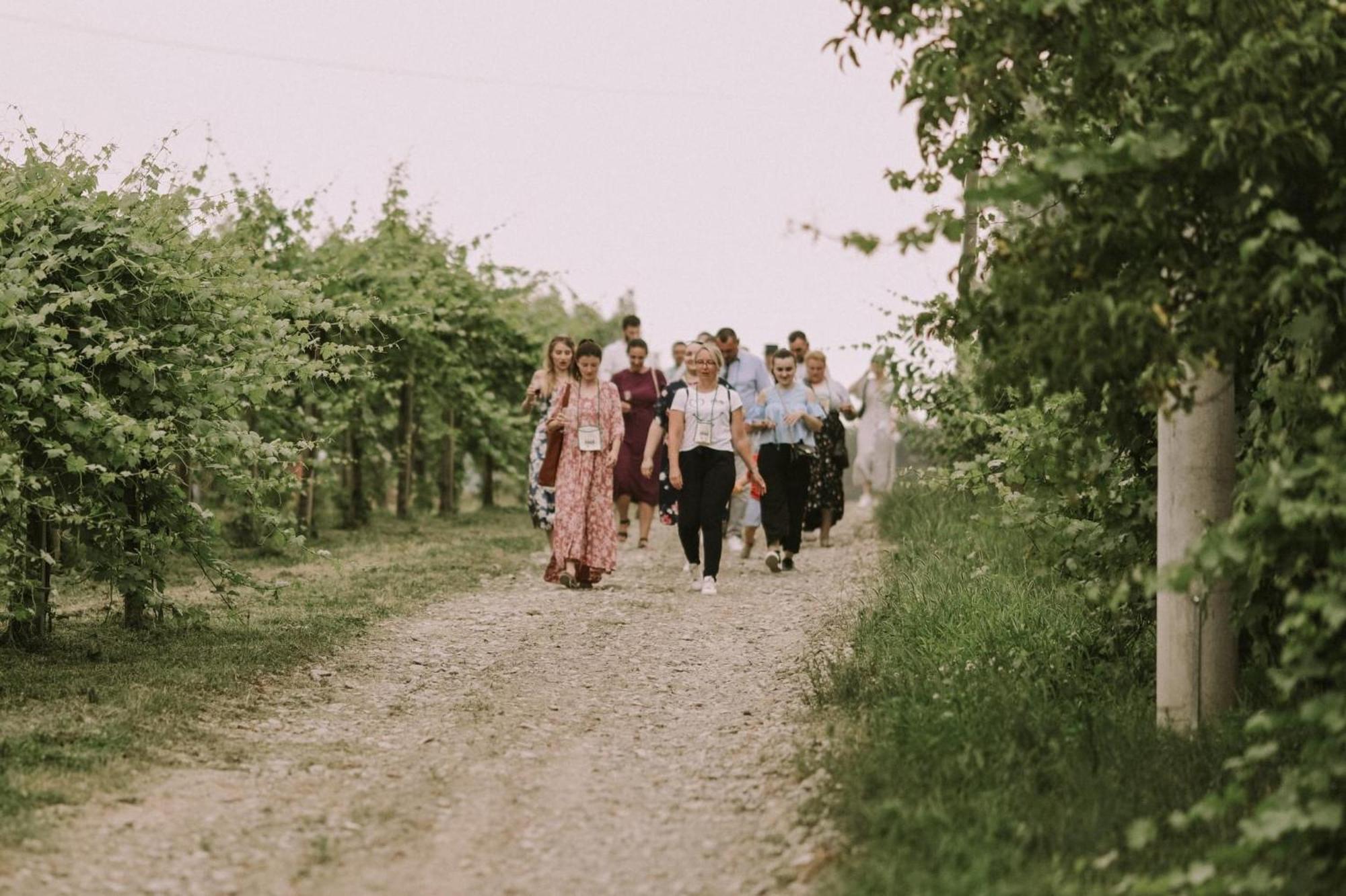 Village Wine House Mandicevac Eksteriør bilde